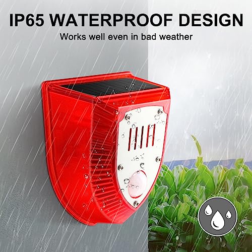 Qualirey Detector de movimiento de alarma solar con sensor d