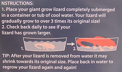 Juego de 3 Jumbo Grow an Animal in Water – Tiburón, lagarto y rana – C