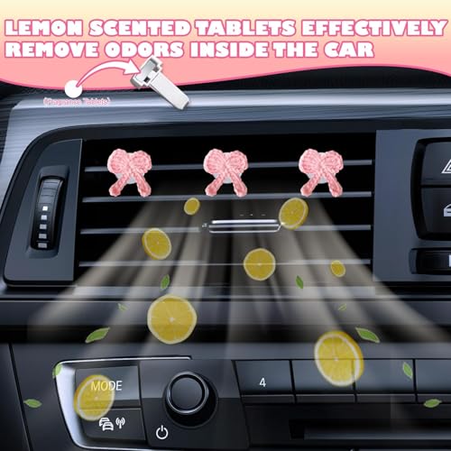 Juego de 12 clips de ventilación de coche con lazos de ganch