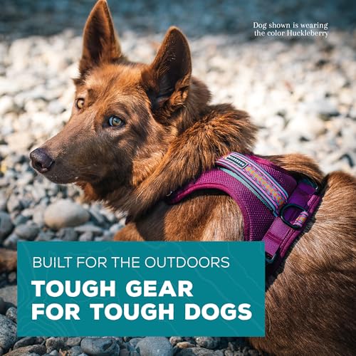 Wilderdog Arnés ligero para perro con correas reflectantes -