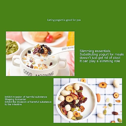 Zerodis Máquina compacta para hacer yogurt, sistema de calef