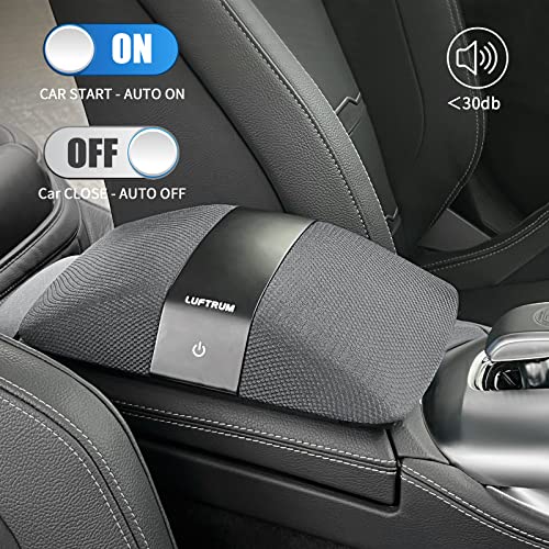 Purificador de aire para automóvil con filtro HEPA verdadero