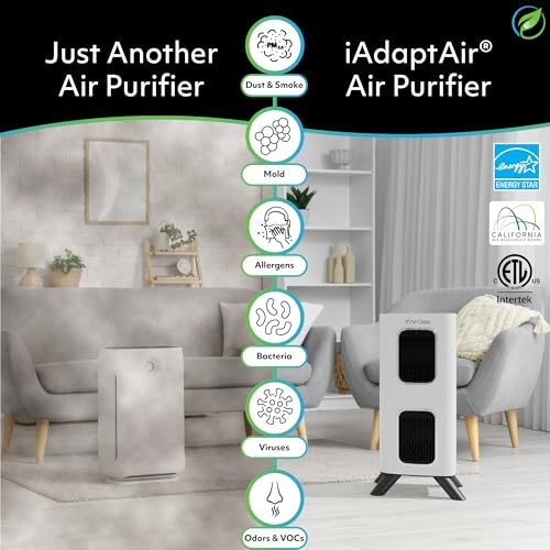 iAdaptAir 2.0 H13 - Filtro HEPA purificador de aire que redu