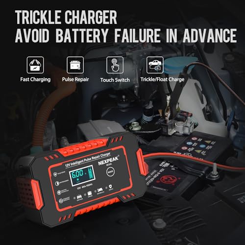 NEXPEAK NC101 Cargador de batería de automóvil, cargador int