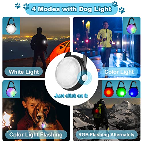 Luces de perro con 4 modos para caminar por la noche, luz im