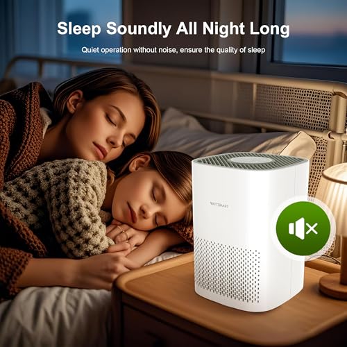 Purificador de aire para el hogar, filtro HEPA H13 para pelo