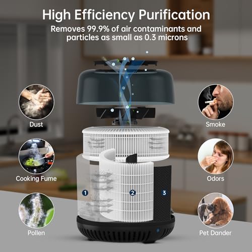 Purificador de aire pequeño, ionizador de purificador de air