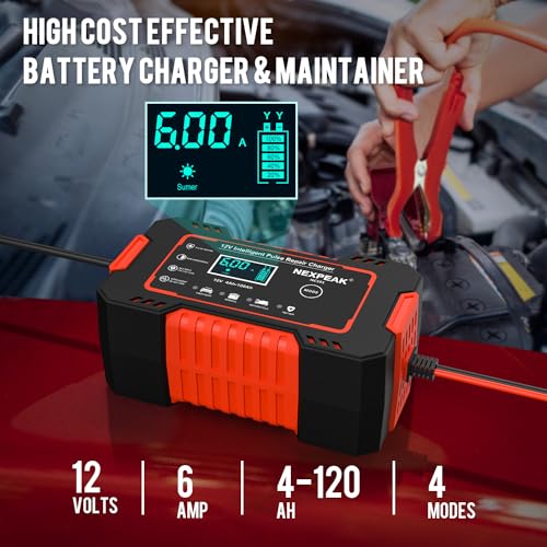 NEXPEAK NC101 Cargador de batería de automóvil, cargador int