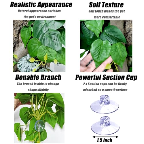 Woyrise Plantas de reptiles, enredaderas colgantes de terrar