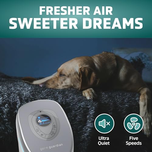 GermGuardian Purificador de aire con filtro puro HEPA 13 par