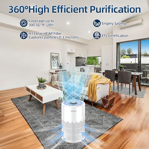 ZXBEER H13 Purificador de aire True HEPA con control remoto,