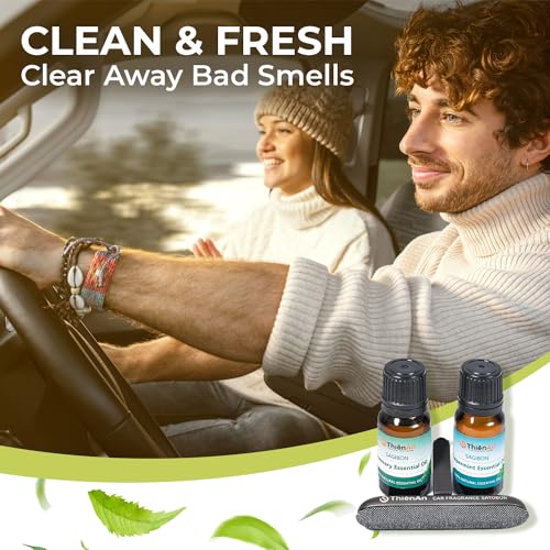 THIEN AN - Juego de ambientadores para automóvil, aroma a ro