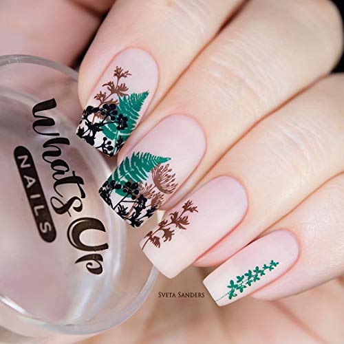 Whats Up Nails - Sello y raspador transparente ampliado para
