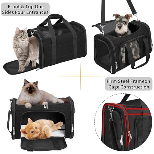 Transportador de gatos y mascotas de lados suaves, plegables