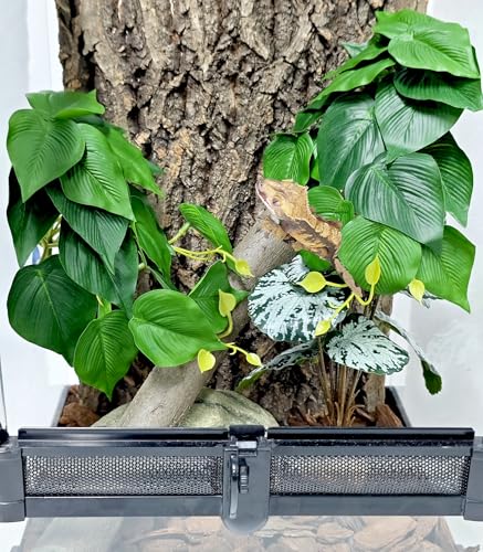 Woyrise Plantas de reptiles, enredaderas colgantes de terrar