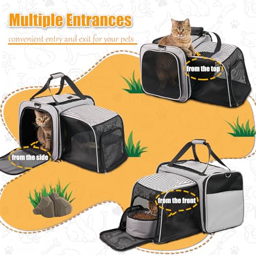 Transportador de gatos expandible de lados suaves con caja d