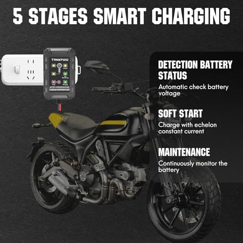 Cargador de batería inteligente de coche de 1.5 amperios, ca