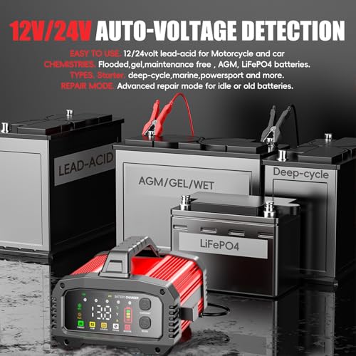 Cargador de batería de 25 A, 2/8/20/25 amperios 12 V/24 V Li