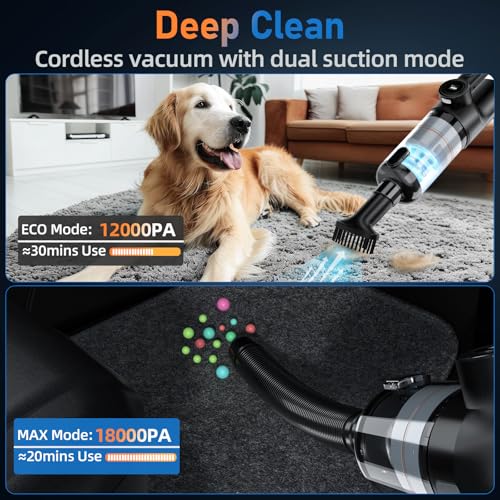 Handheld Car Vacuum Cleaner, 21000PA Powerful Suction, Cordl