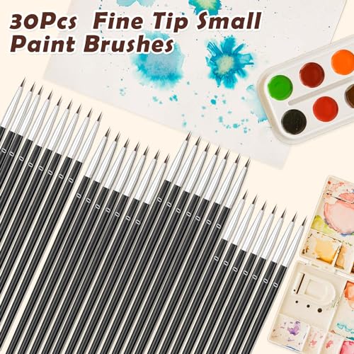 Anezus Juego de 30 pinceles de pintura para detalles pequeño