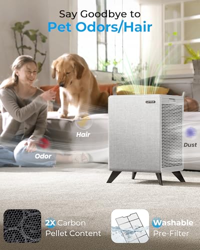 Purificadores de aire para habitación grande del hogar de ha