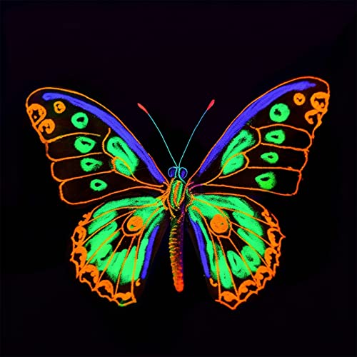 ABEIER Pintura acrílica que brilla en la oscuridad, 10 color