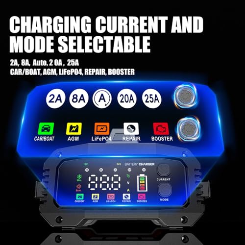 Cargador de batería de 25 A, 2/8/20/25 amperios 12 V/24 V Li