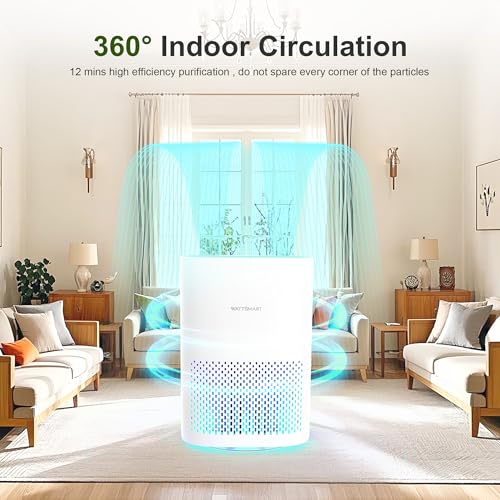 Purificador de aire para el hogar, filtro HEPA H13 para pelo