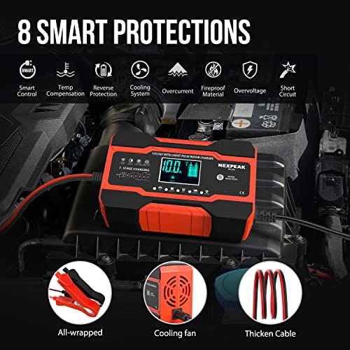 NEXPEAK NC201 - Cargador de batería de 10 amperios, cargador