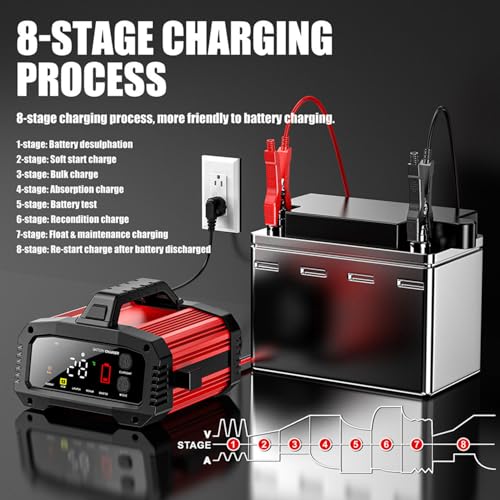 Cargador de batería de 25 A, 2/8/20/25 amperios 12 V/24 V Li