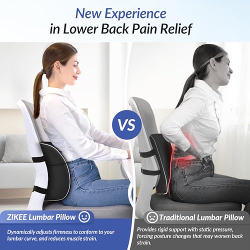 ZIKEE Almohada de apoyo lumbar con bolsa de aire para silla