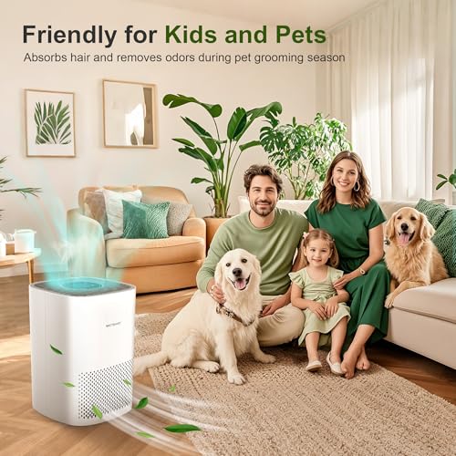 Purificador de aire para el hogar, filtro HEPA H13 para pelo
