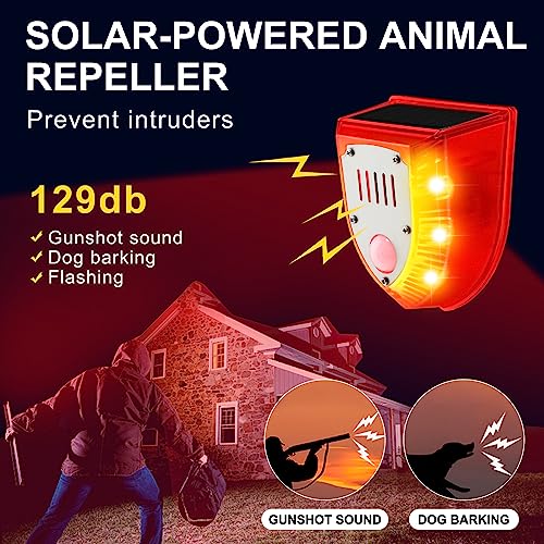 Qualirey Detector de movimiento de alarma solar con sensor d