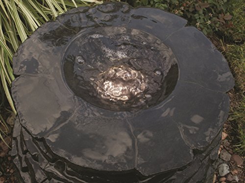 Aquascape AQSC - Lámpara LED con transformador, color negro