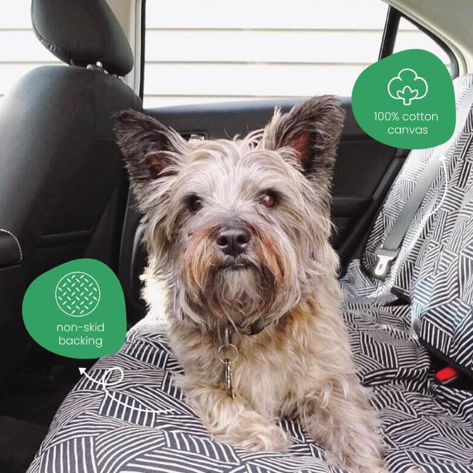 Molly Mutt Funda de asiento trasero 3 en 1 para perros, hama