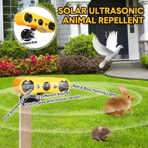 Qualirey Alarma solar con sensor de movimiento para exterior