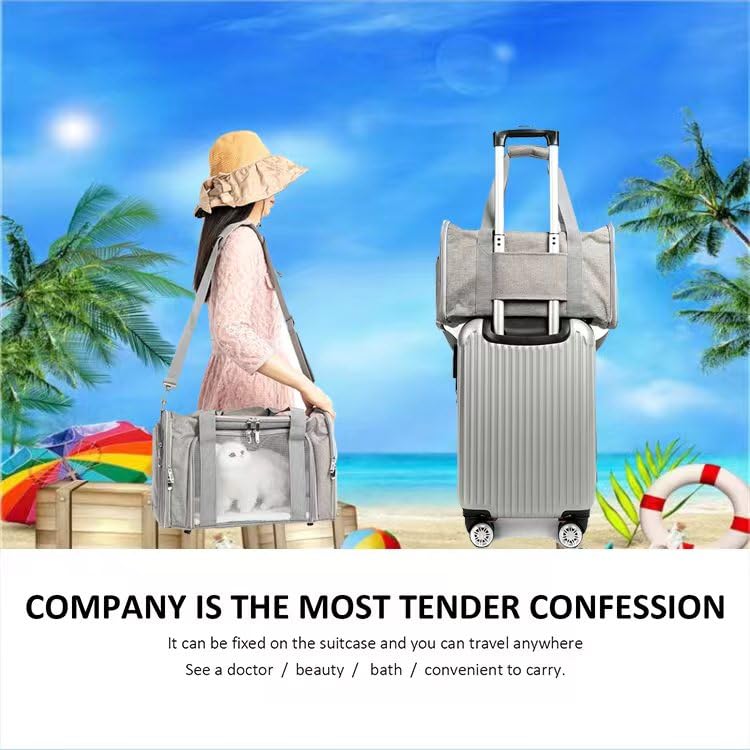 Transportador de gatos para perros y mascotas, bolsas para g