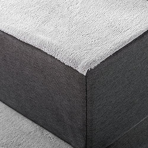 Zinus - Escalera fácil para mascotas de 2 peldaños/ Rampa pa