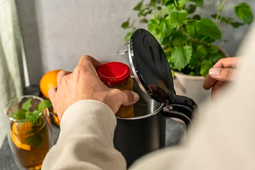ZWILLING 1027842 Enfinigy - Tetera eléctrica, 1 L, color neg