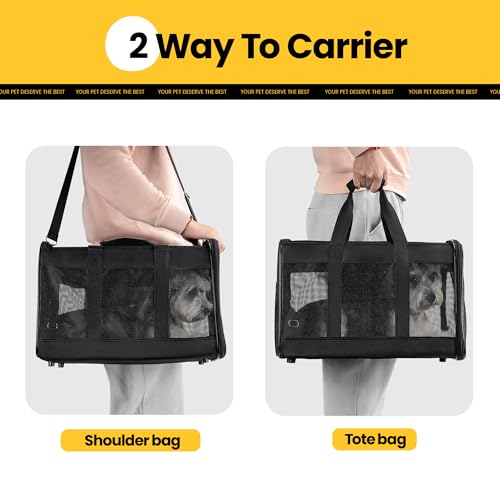 Transportador de gatos aprobado por aerolíneas, transportado