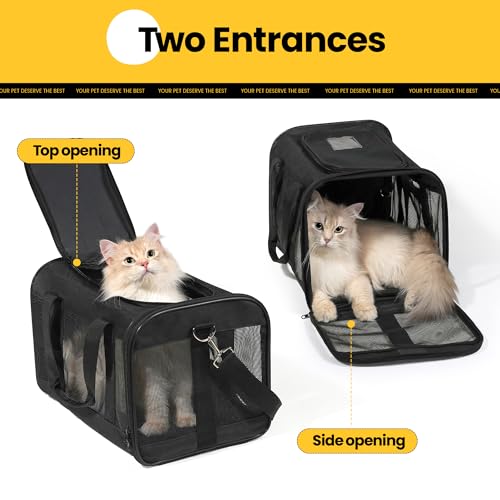 Transportador de gatos aprobado por aerolíneas, transportado