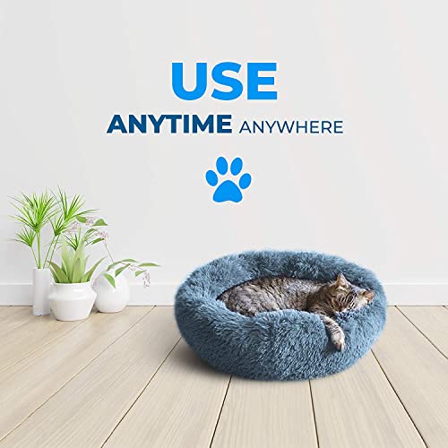 Whiskers & Friends Cama para gatos, camas para gatos de inte