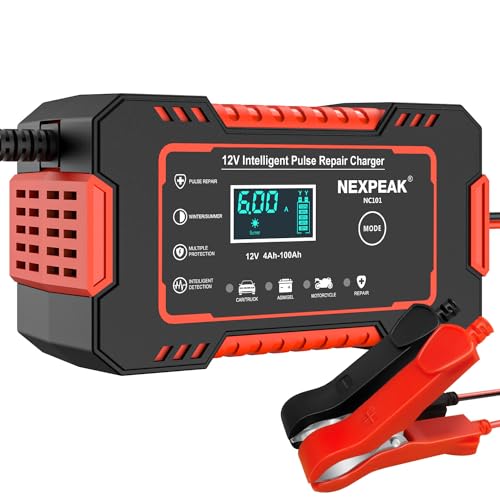 NEXPEAK NC101 Cargador de batería de automóvil, cargador int