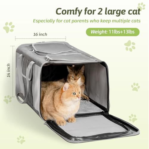 Transportador de gatos extragrande para 2 gatos, 24 x 14 x 1