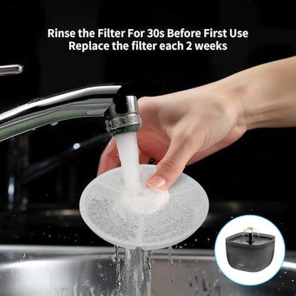 Paquete de 4 filtros de repuesto y 4 esponjas de prefiltro –