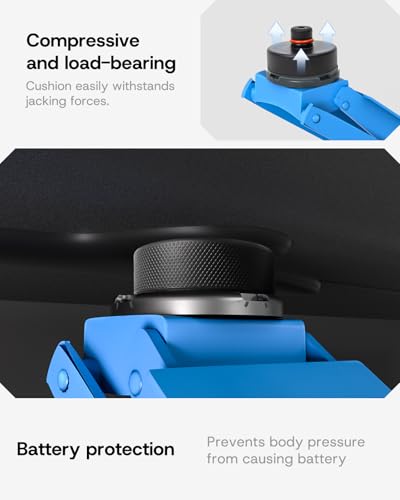 Almohadillas de gato actualizadas 2025 para Tesla Model 3/Y