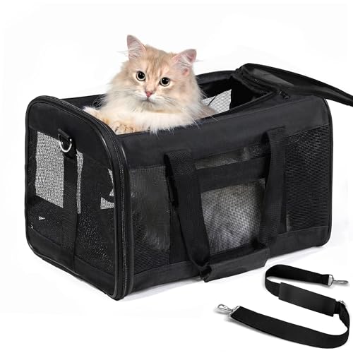Transportador de gatos aprobado por aerolíneas, transportado