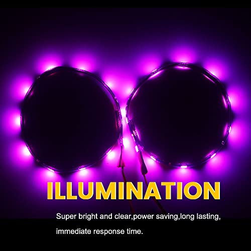 EverBright - Tira de luces LED para automóviles, 10.6 in, 50