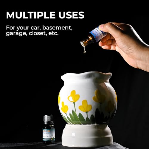 THIEN AN - Juego de ambientadores para automóvil, aroma a ro