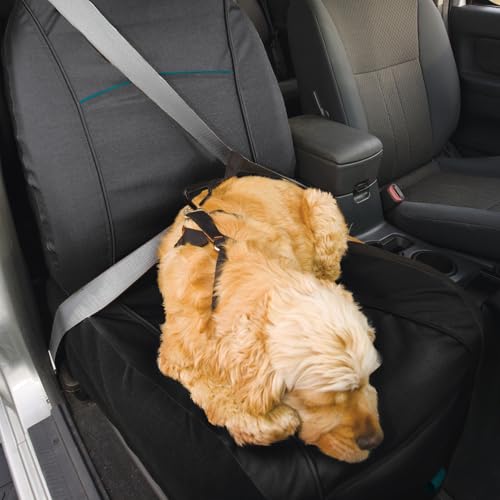 Kurgo Rover - Funda de asiento para perros, funda de asiento